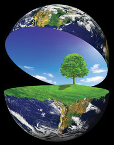 A new way of seeing our place within the web of life.